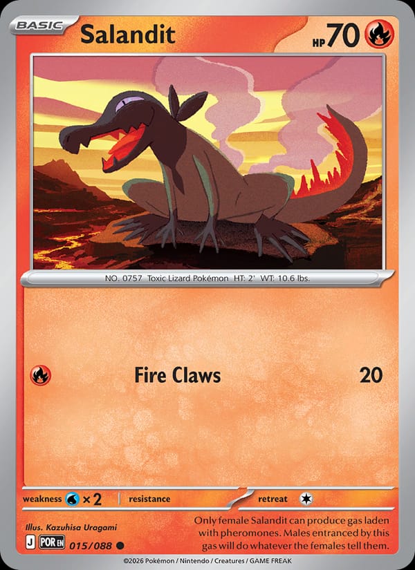Salandit #015 — Perfect Order