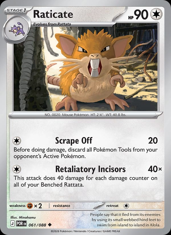 Raticate #061 — Perfect Order