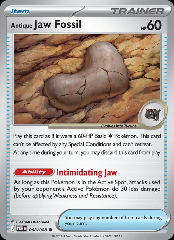 Antique Jaw Fossil #068 — Perfect Order