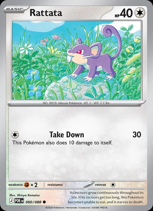 Rattata #060 — Perfect Order