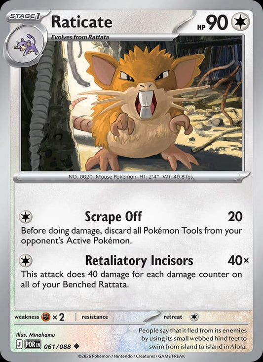 Raticate #061 — Perfect Order