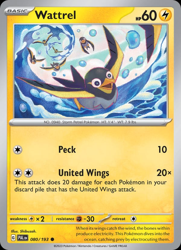 Wattrel #080 — Paldea Evolved
