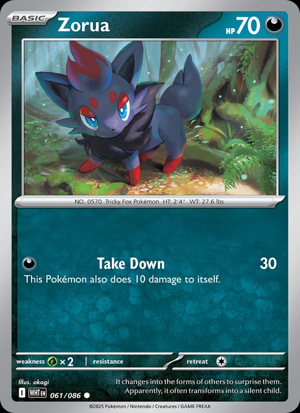Zorua #061 — White Flare
